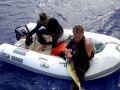 Ross and Bruce were retrieving the anchor and came home with a Mahi Mahi instead.